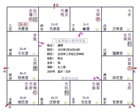 命主巨門男|什麼是命主巨門？解析巨門星曜性格與職場潛力 